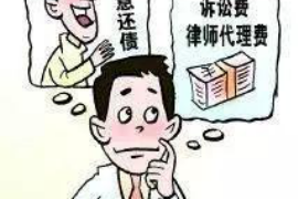 泰兴讨债公司